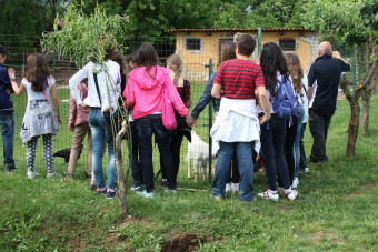 TRASMETTERE UN MESSAGGIO PULITO