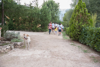 Bottega Exodus diary, a sort of