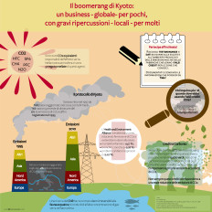 Infografica: i crediti al carbonio